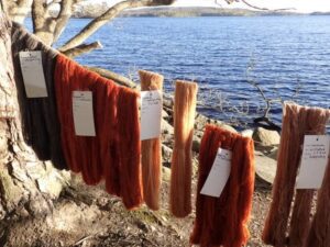 Svampfärgning med färgsvampar