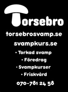 Svampkurs Skåne – lär dig plocka matsvamp 