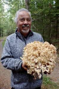 Svampkurs Skåne – lär dig plocka matsvamp 