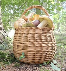 presentkort svampkurs skåne kuvert 