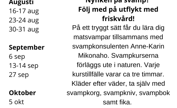 Svampkurser 2025 friskvård