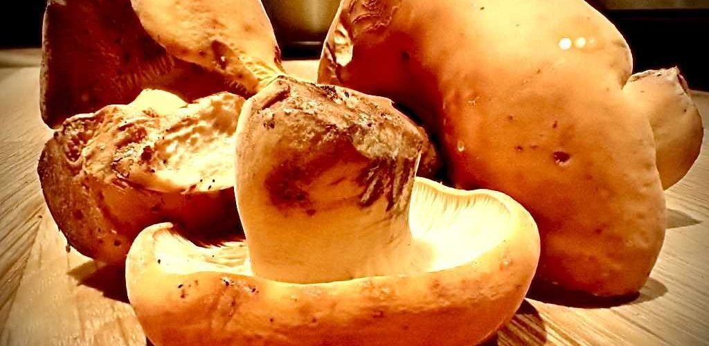 Recept med mandelriska