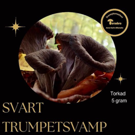 Svart trumpetsvamp butik Skåne