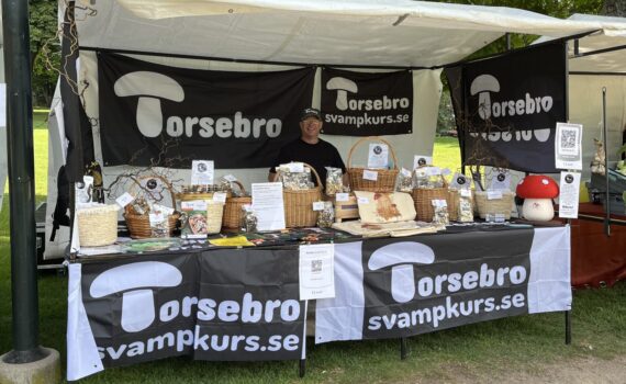 Skördefest, Torsebro Svamp, Skördefest i Tivoliparken, Kristianstad, 31/8 2024, Tivoliparken