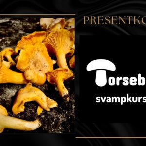 Presentkort svampkurs