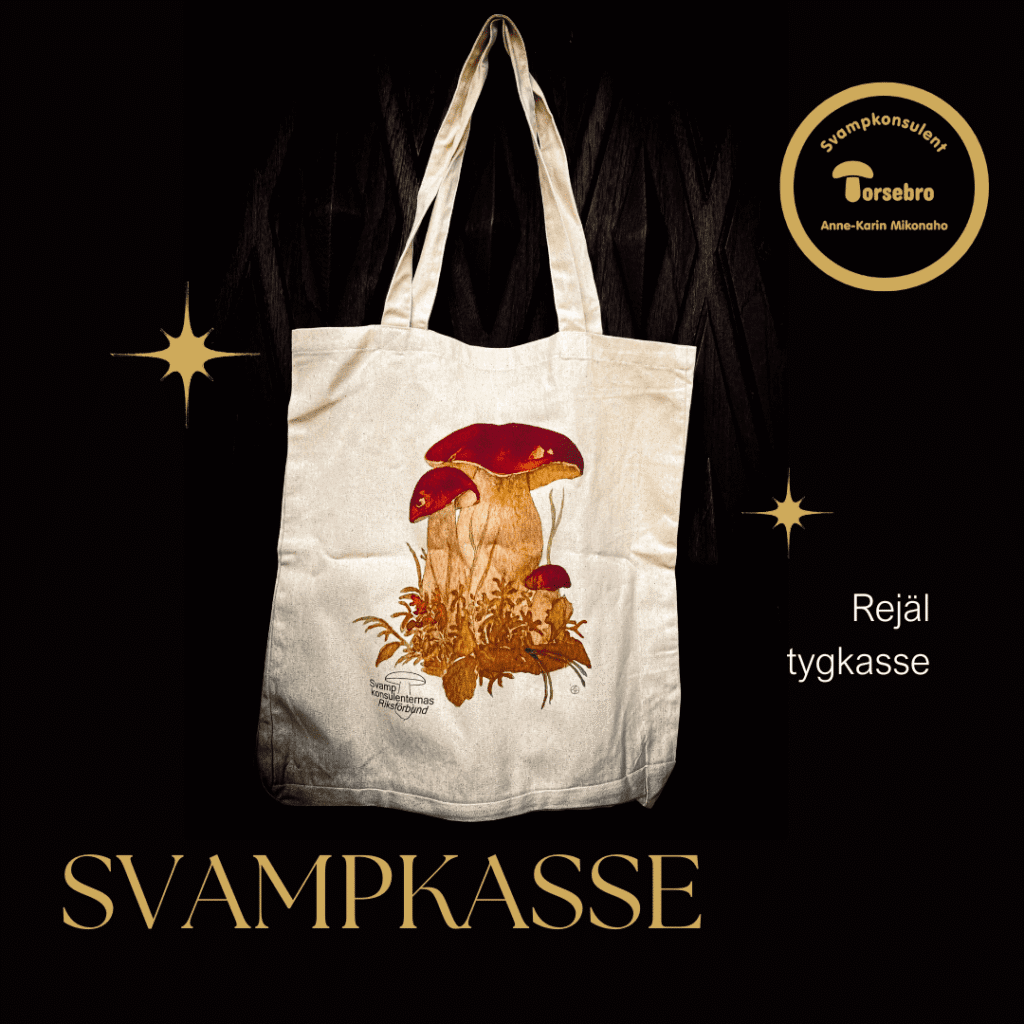 Svampkasse med stensoppar
