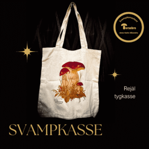 Svampkasse med stensoppar