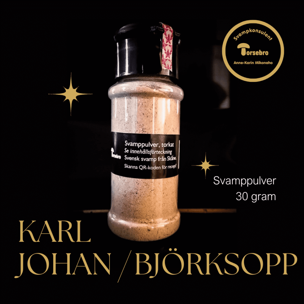 Svamppulver karljohan/björksopp 30 gram i butik