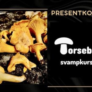 Presentkort svampkurs inkl kuvert