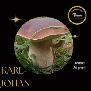 Boletus edulis Porcini torkad karljohansvamp