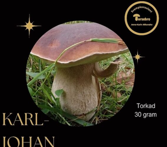 Boletus edulis Porcini torkad karljohansvamp