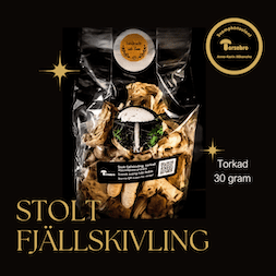 Stolt fjällskivling torkad 30 g