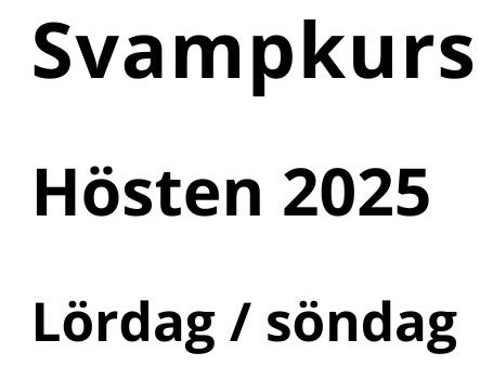 Svampkurser 2025