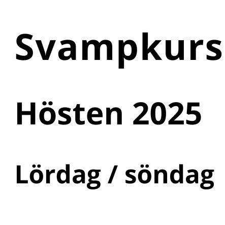 Svampkurser 2025