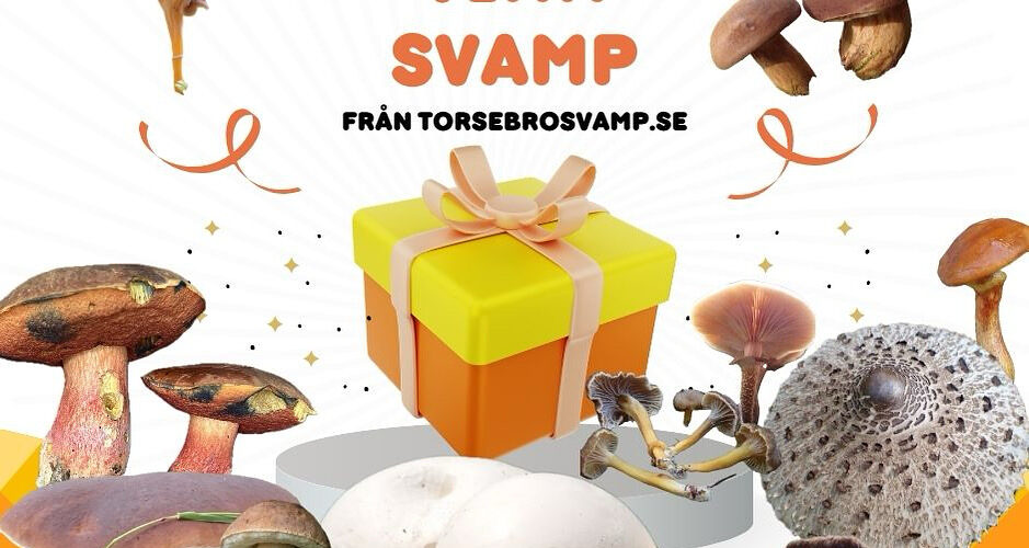 Tävling