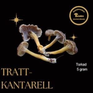 Trattkantarell torkad 5 g