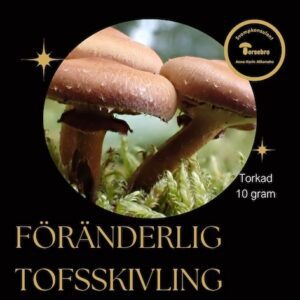 Föränderlig tofsskivling torkad 10 g