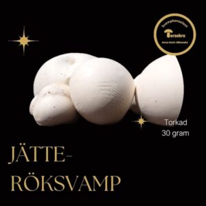 Jätteröksvamp torkad 30 g