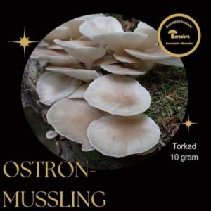 Ostronmussling torkad 10 g