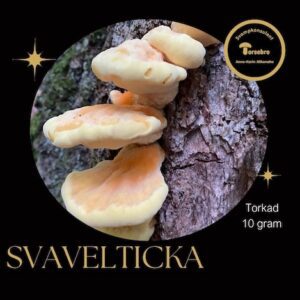 Svavelticka torkad 10 g 