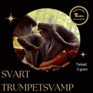 Svart trumpetsvamp torkad 5 g